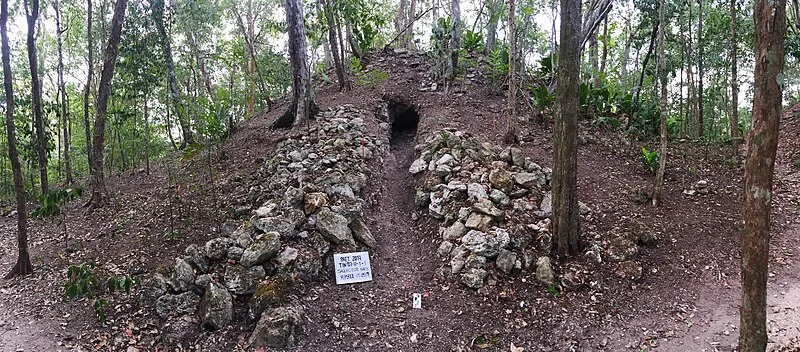 El Tintal