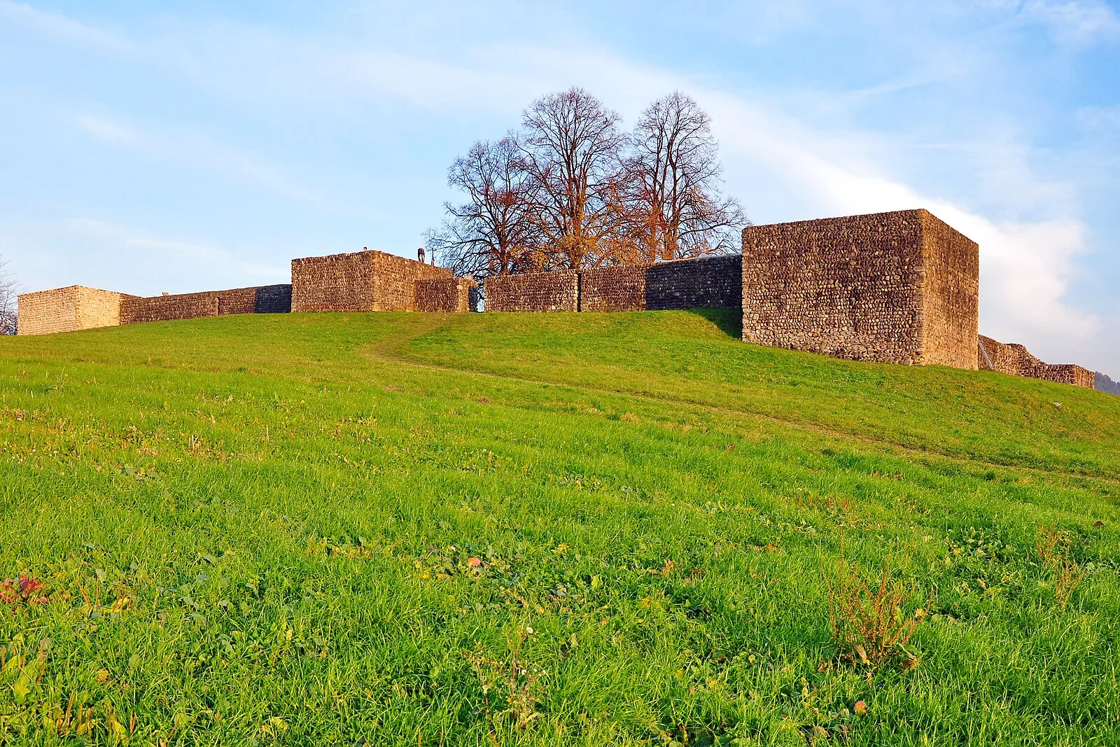 Irgenhausen Castrum