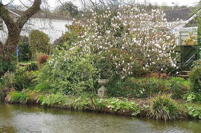 Tiverton, Devon