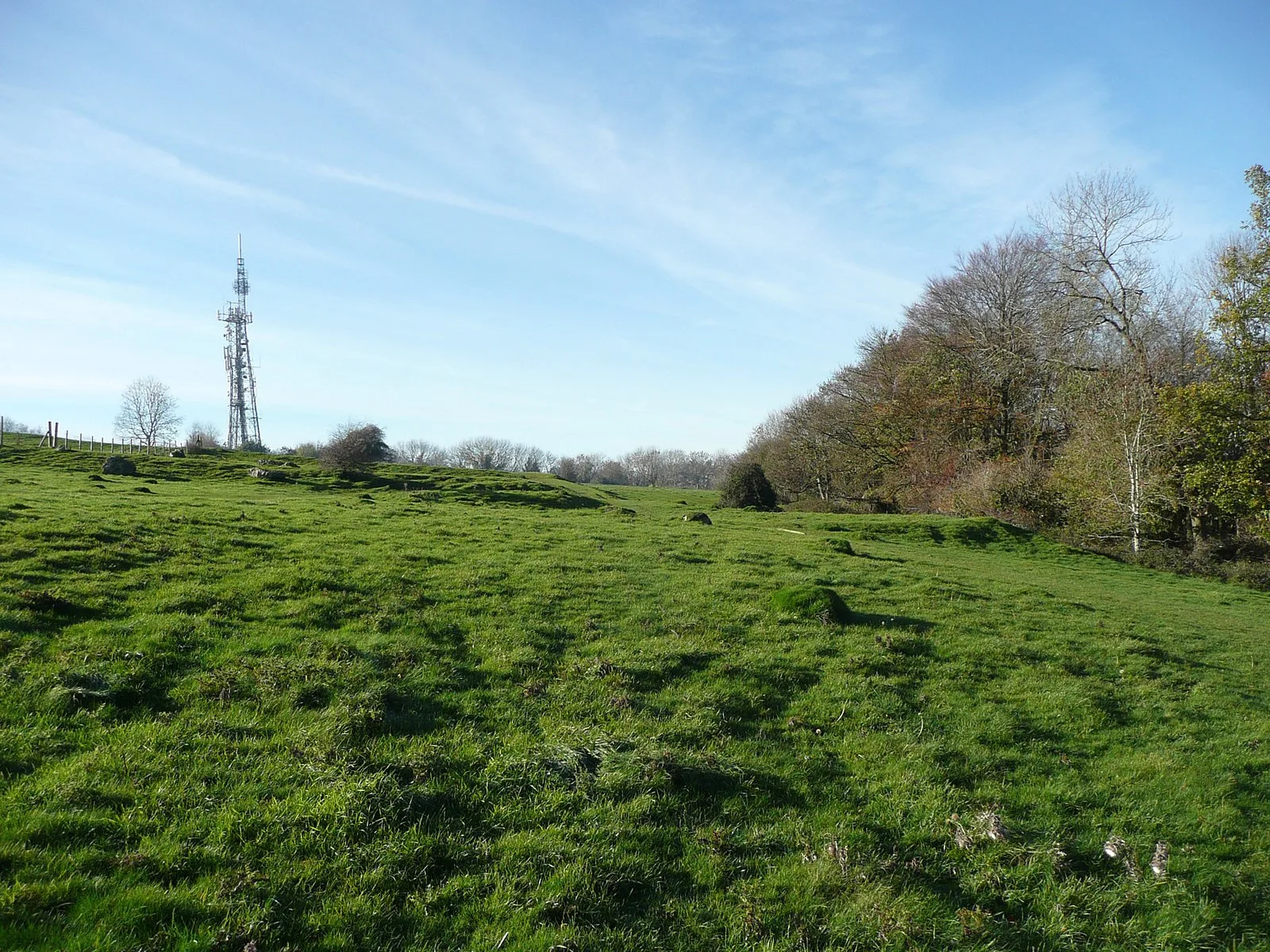 Bathampton Down