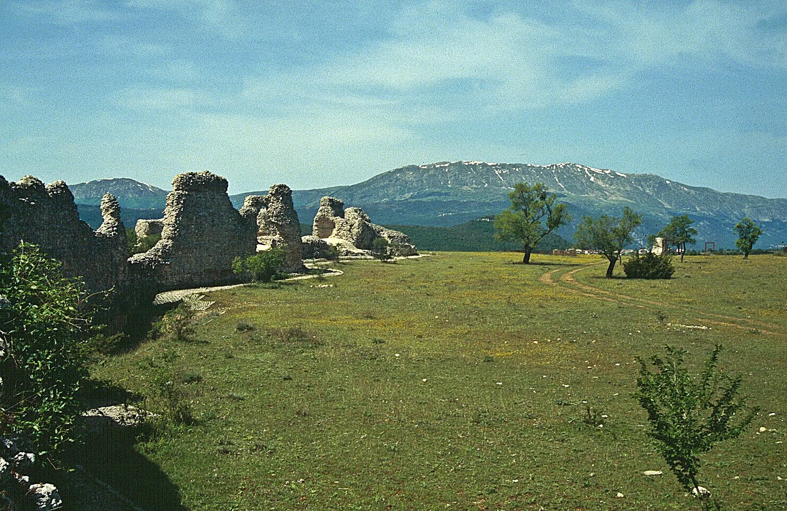 Peltuinum