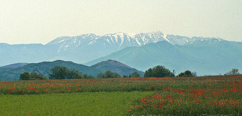 Peltuinum