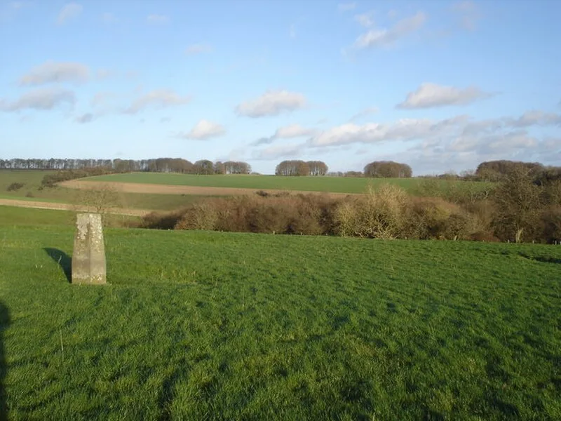 Rotherley Down Settlement