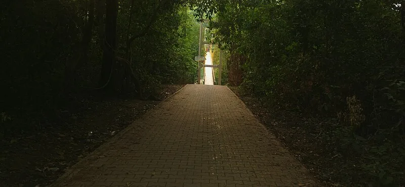 Sahasralinga