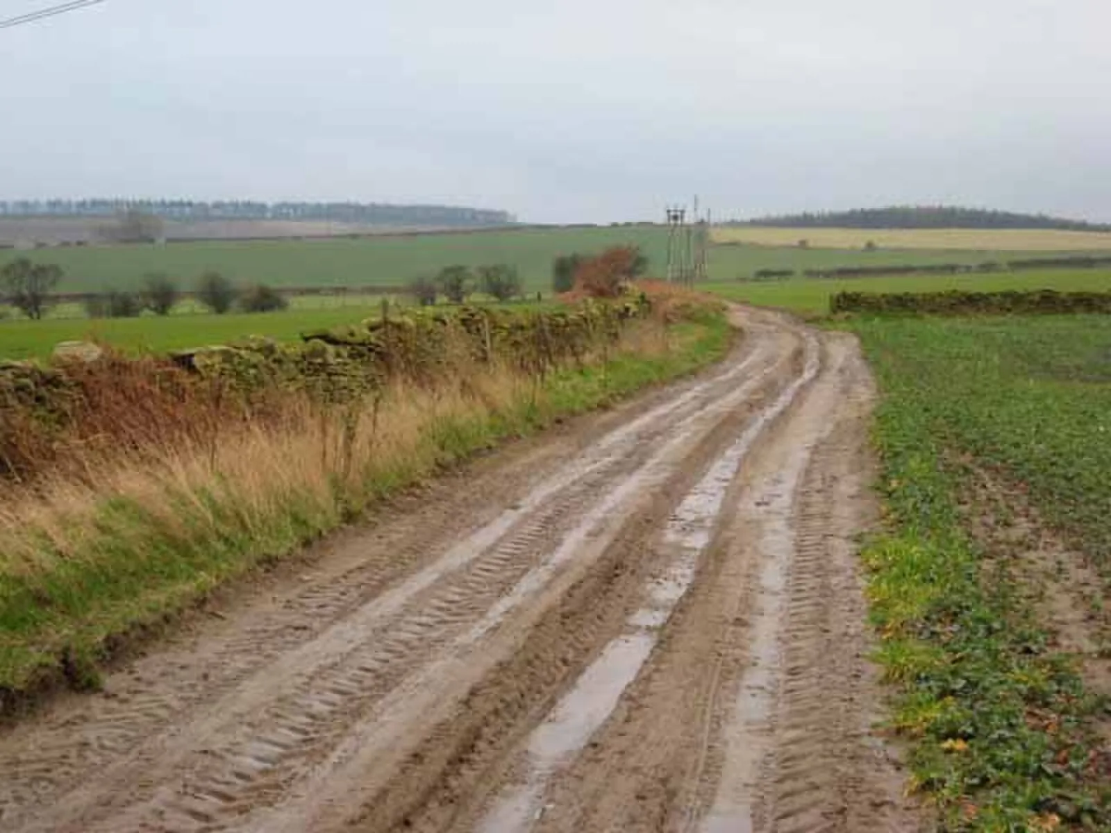 Dere Street