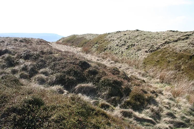 Castle Naze