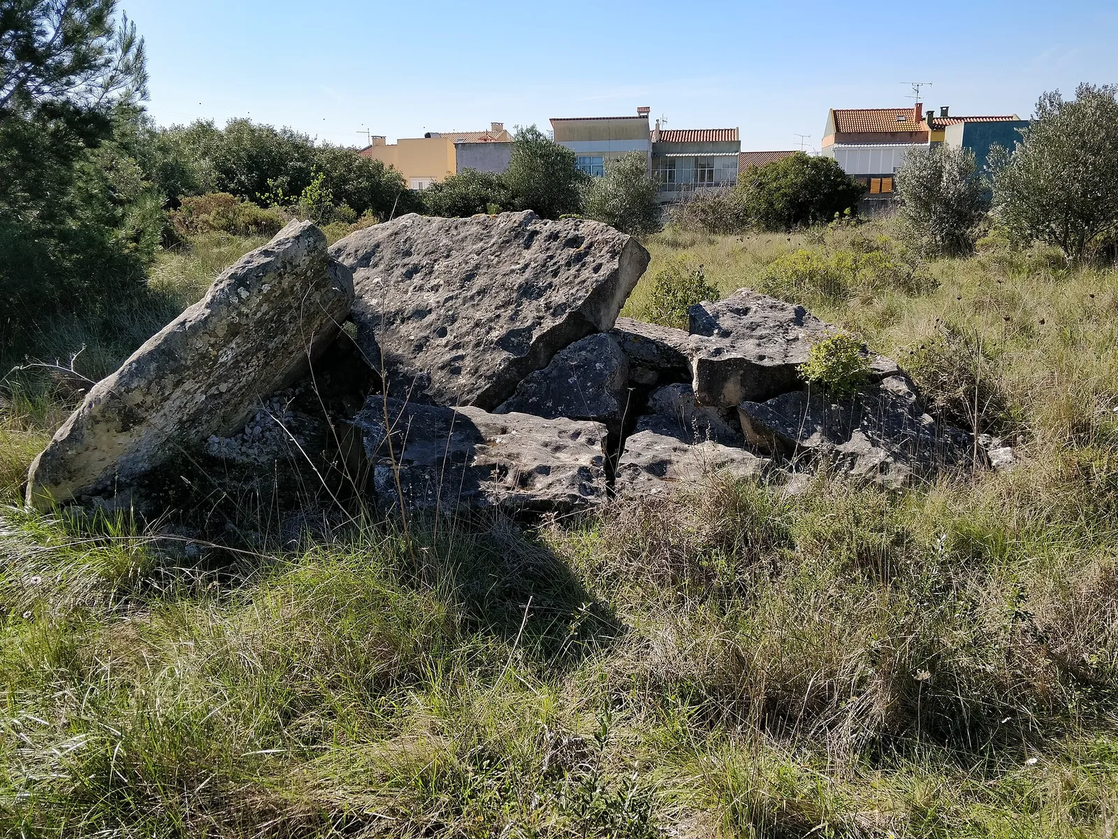 Anta da Pedra dos Mouros