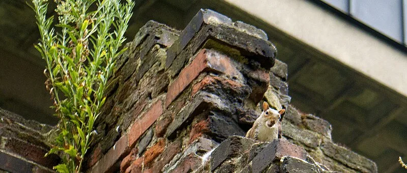 London Wall