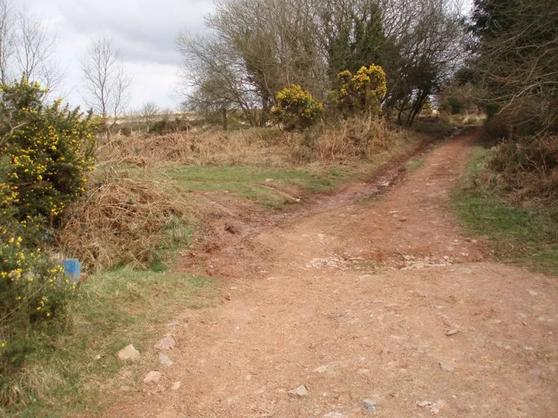 Rodhuish Common