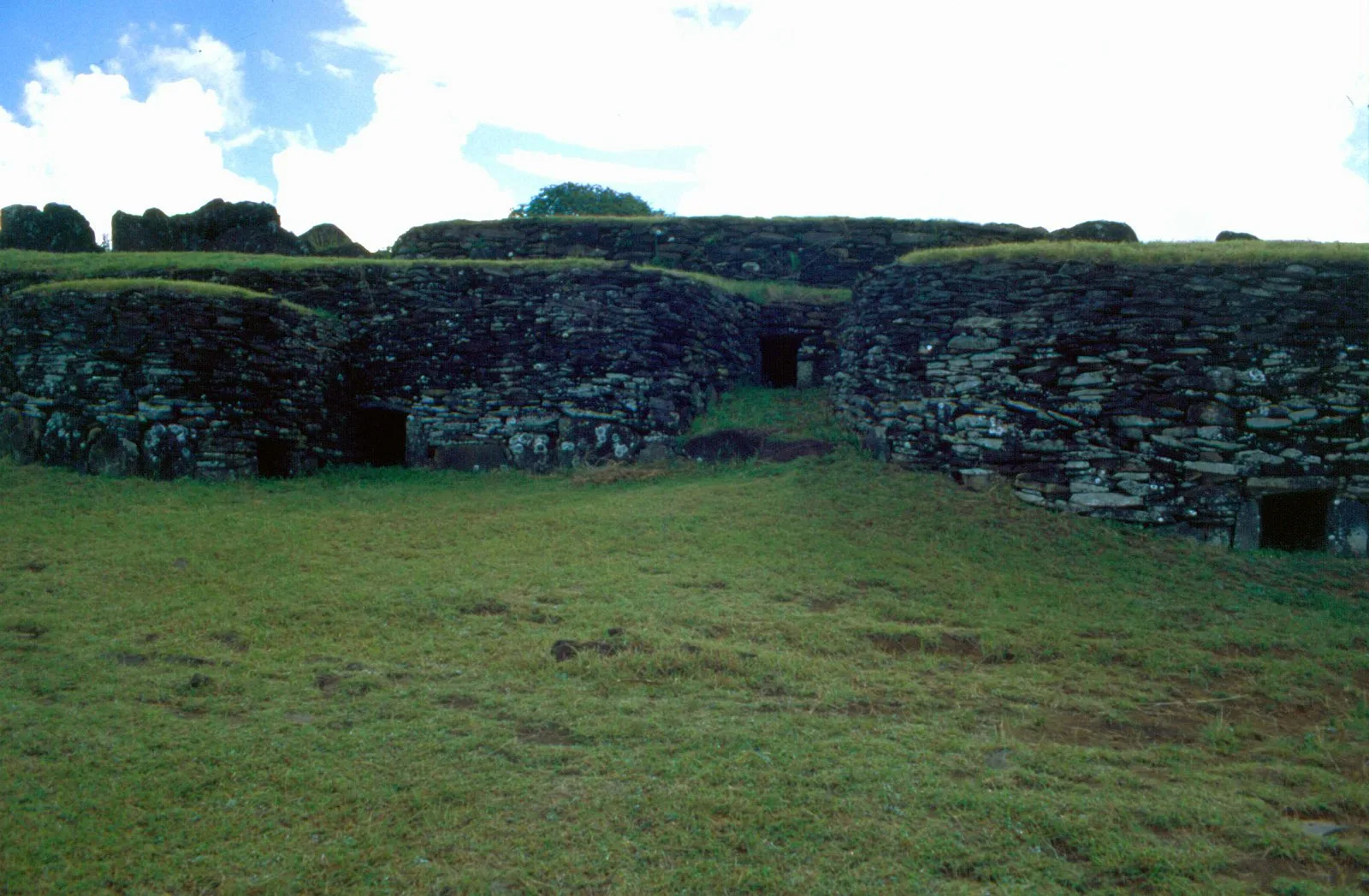 Orongo