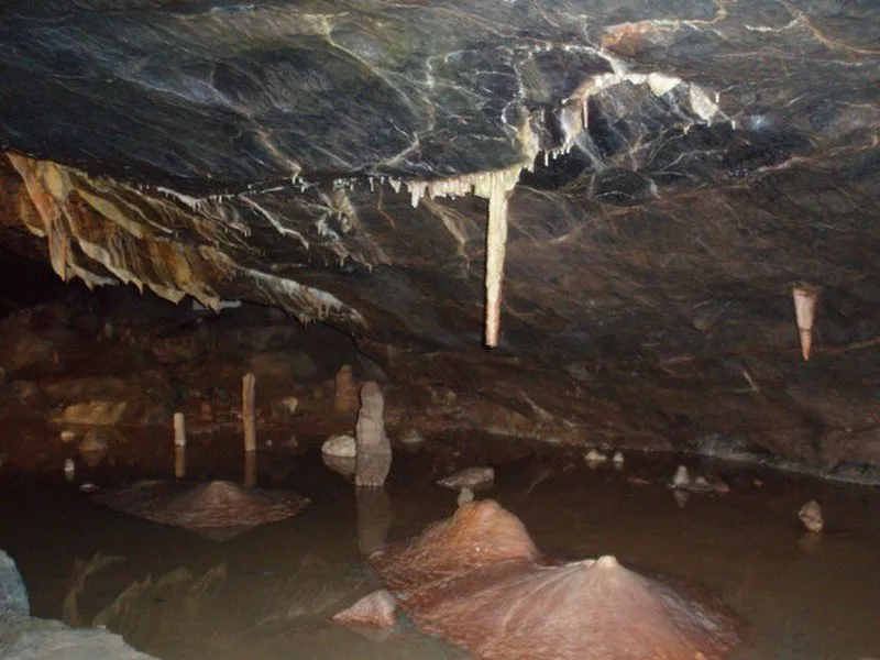 Gough's Cave