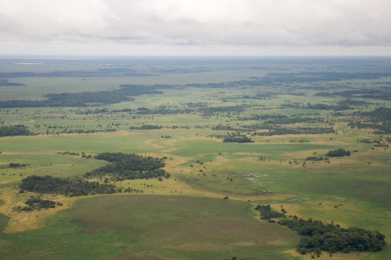 Llanos de Moxos (archaeology)
