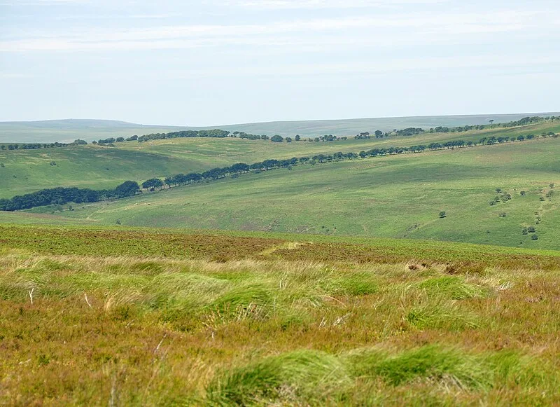 Almsworthy Common