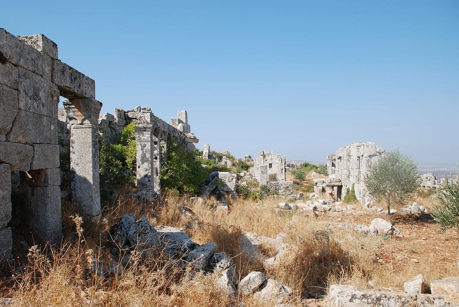 Baqirha