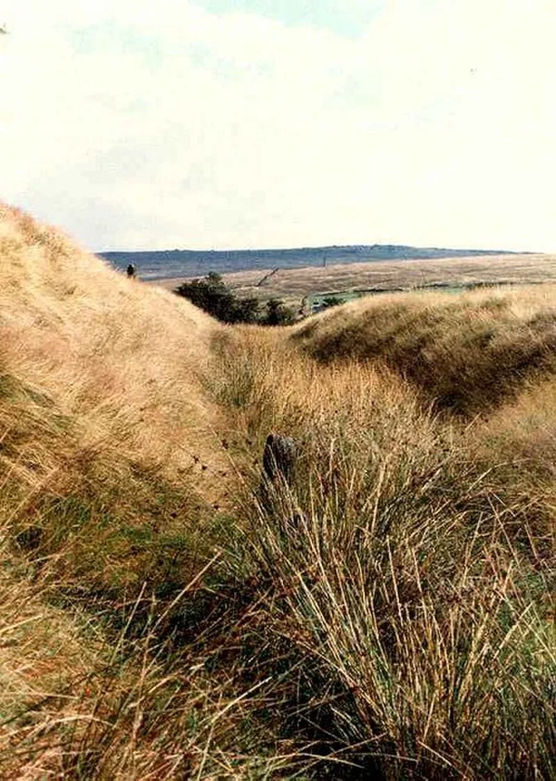 Castleshaw Roman Fort