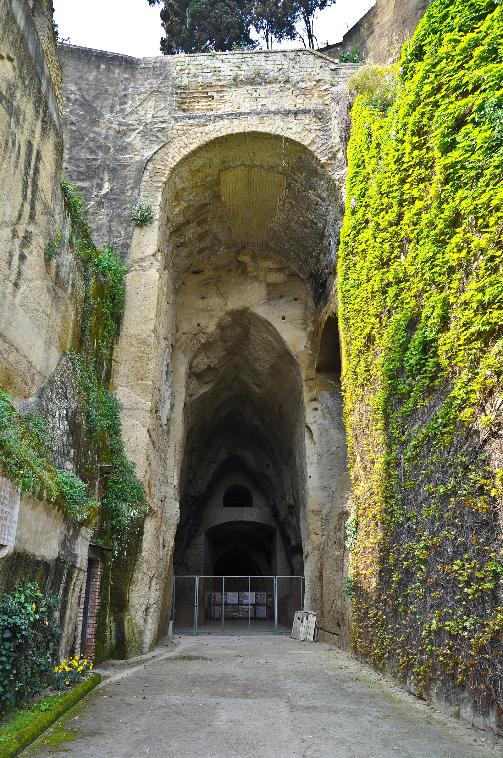 Crypta Neapolitana