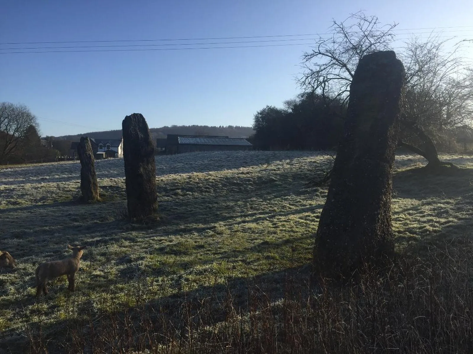 Harold's Stones, Trellech
