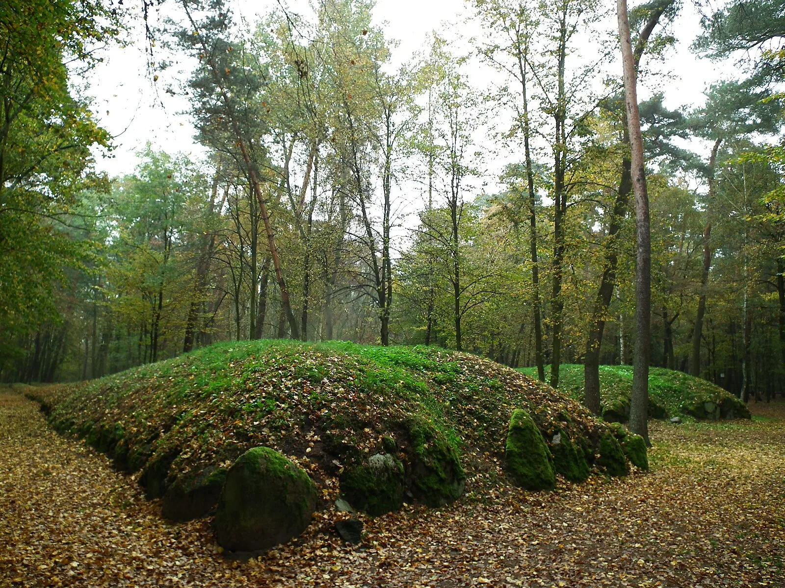 Wietrzychowice, Kuyavian-Pomeranian Voivodeship