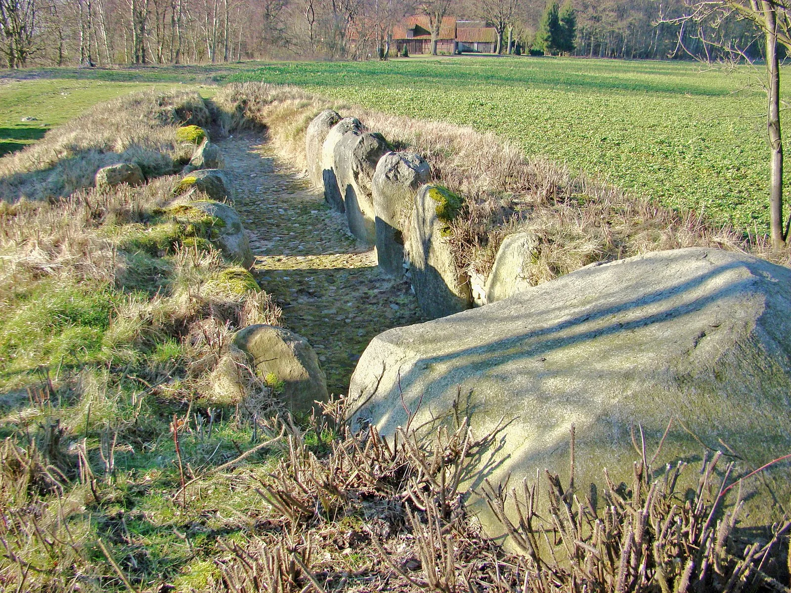 Dohnsen, Siddernhausen - Dolmen