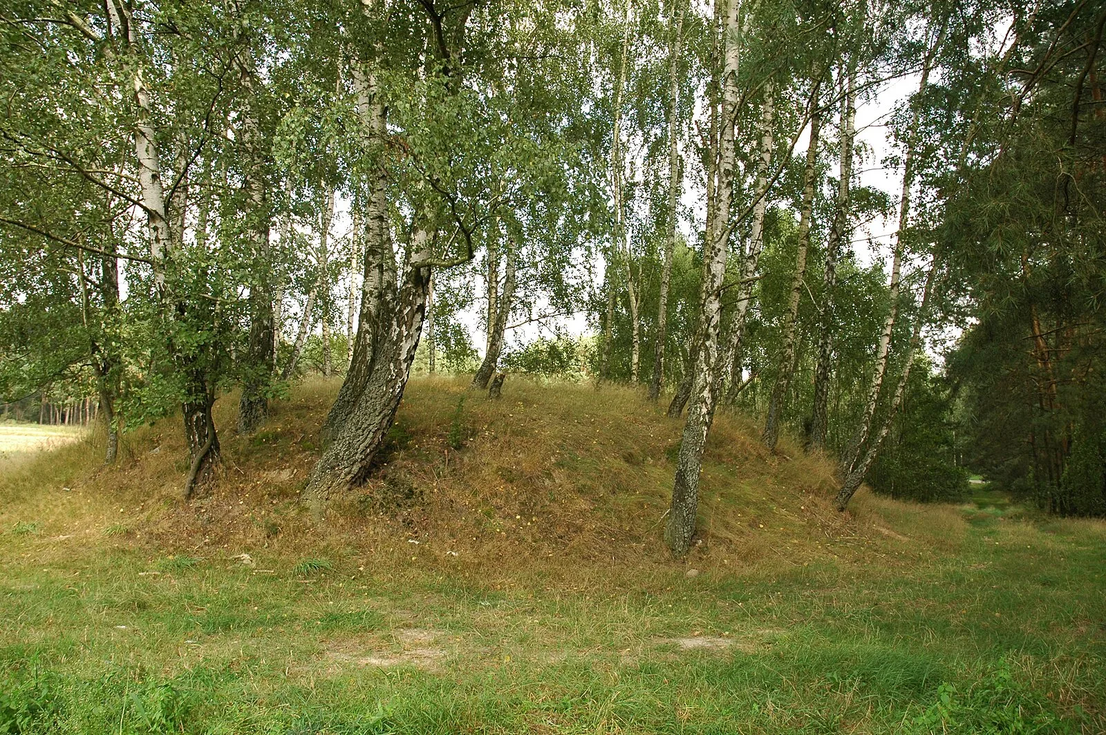 Przywóz
