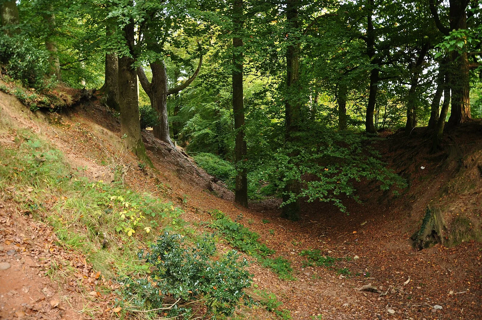 Woodbury Castle