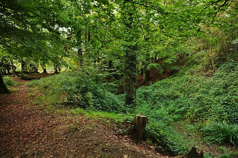 Woodbury Castle