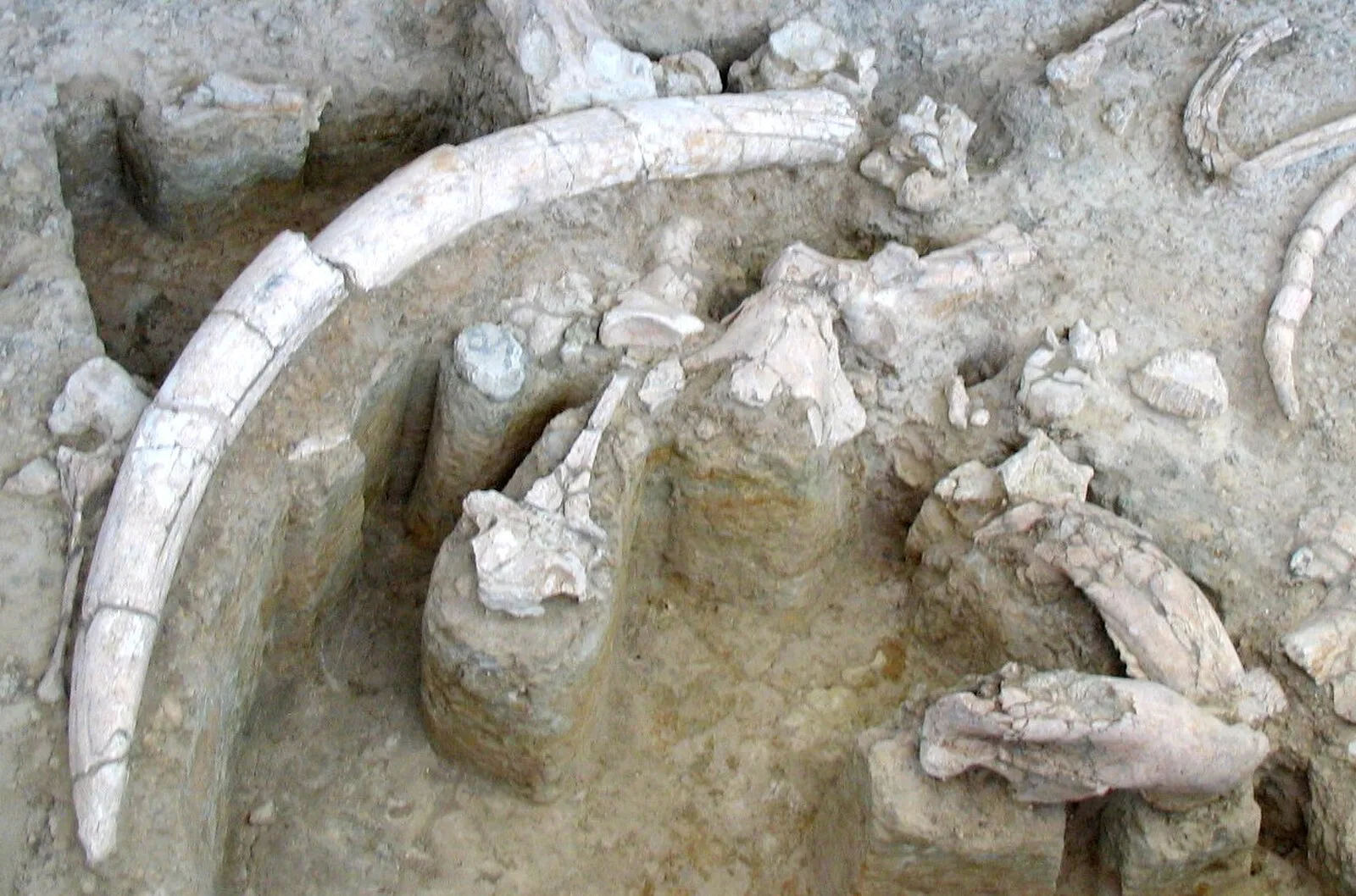 Torralba and Ambrona - Archaeological Site