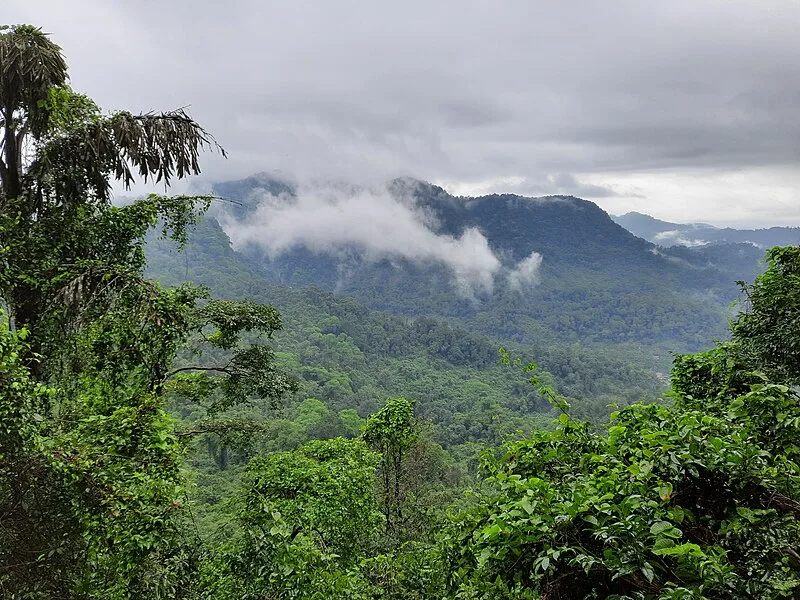 Mookambika Wildlife Sanctuary Kodachadri
