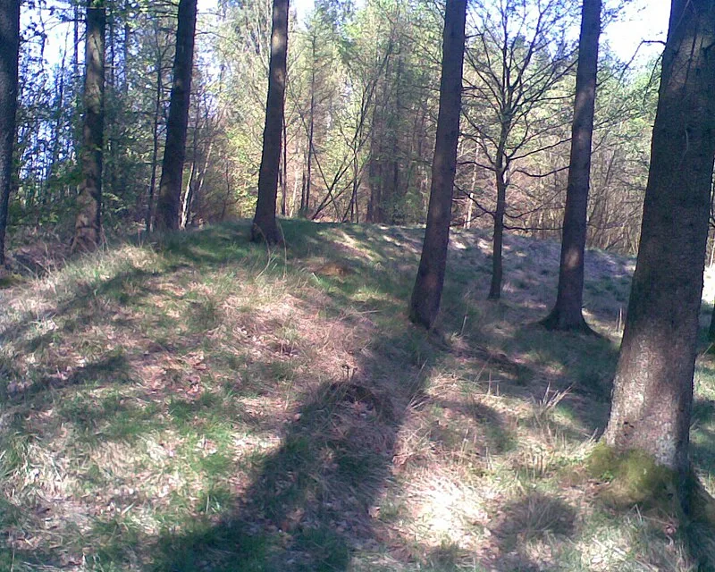 Troldborg Ring