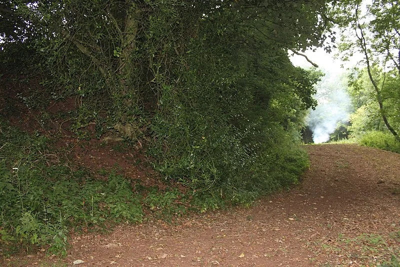 King's Castle, Wiveliscombe