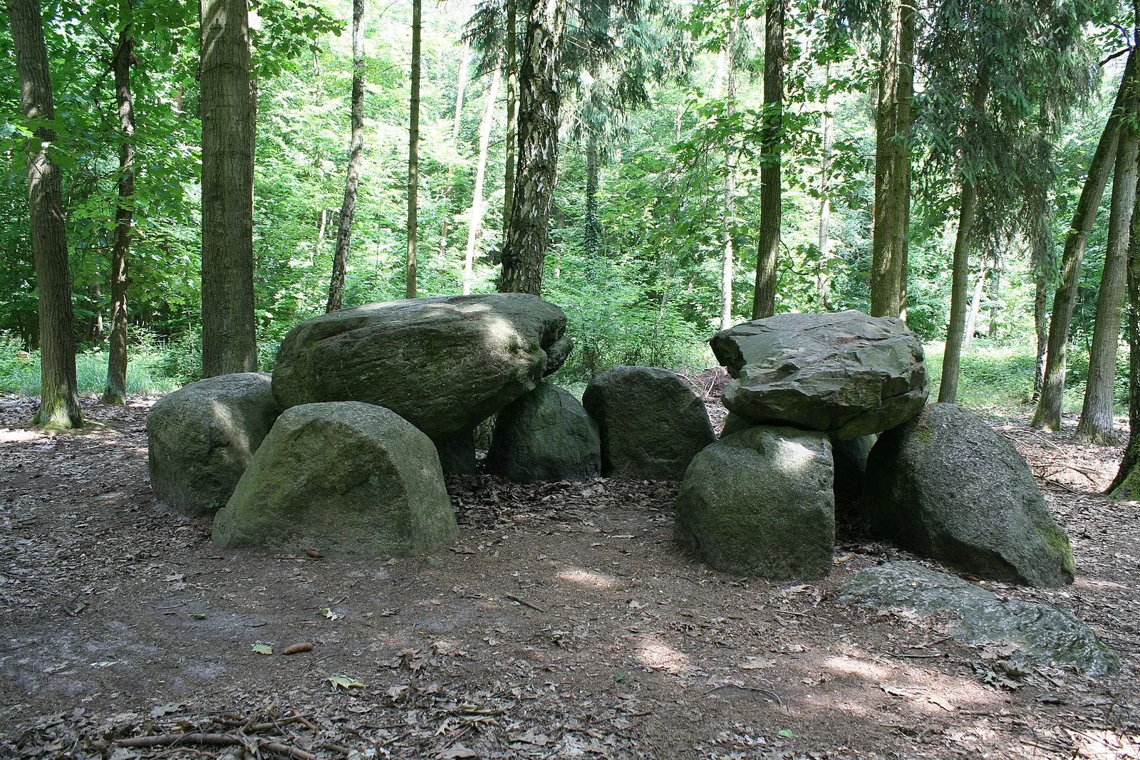 Megalithic Tombs in Haldensleben Forest