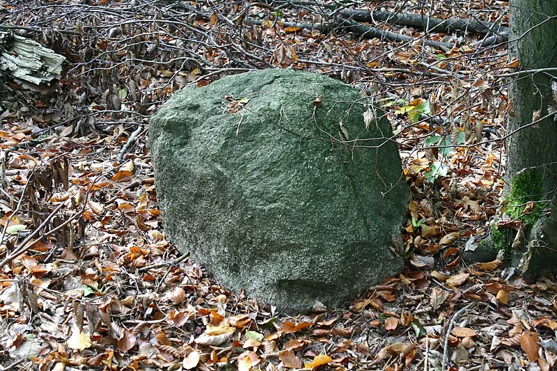 Megalithic Tombs in Haldensleben Forest