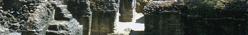 Naranjo