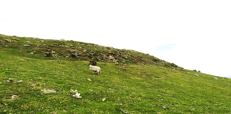 Caer Bach