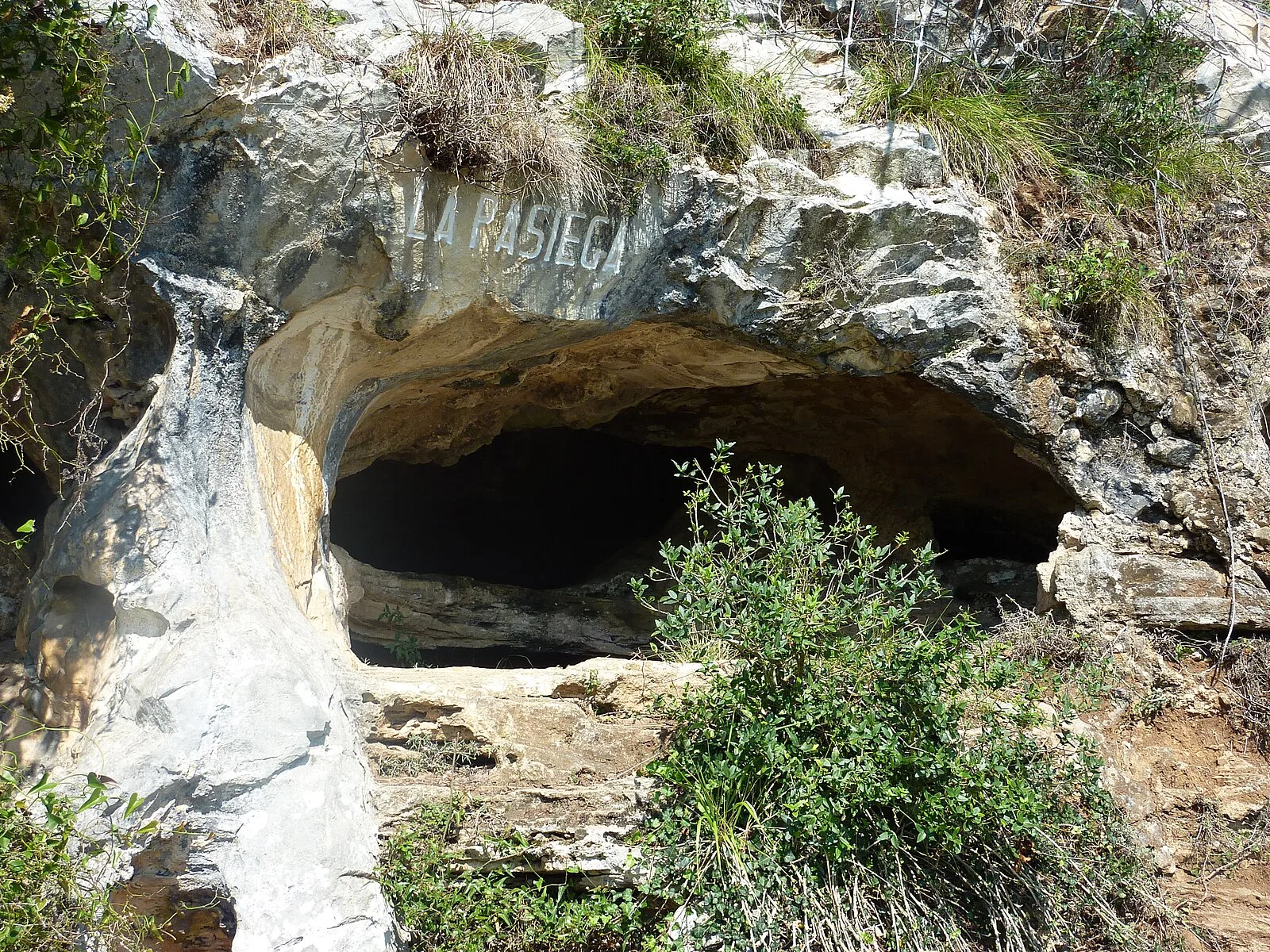 Cave of La Pasiega