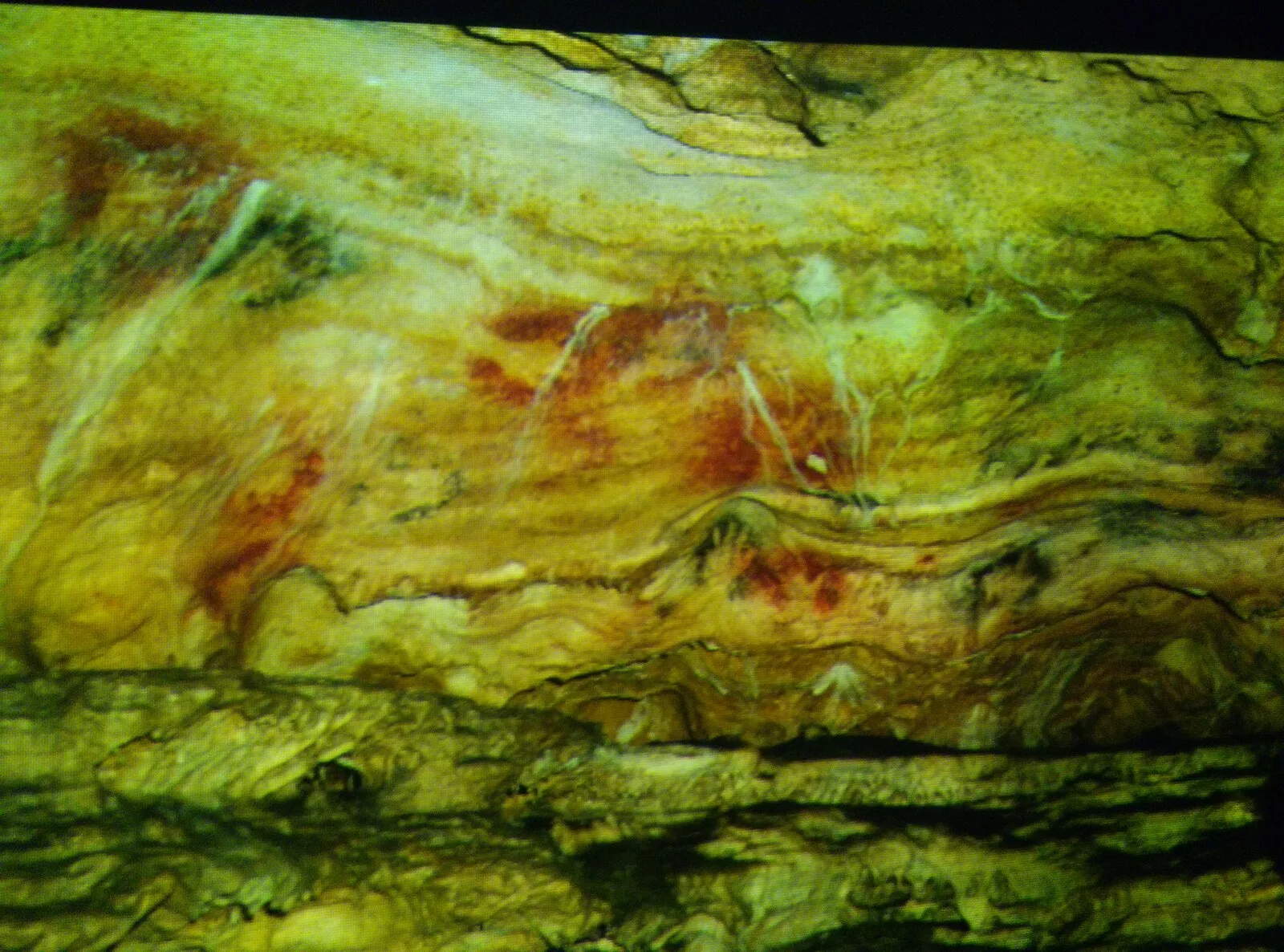 Caves of Gargas