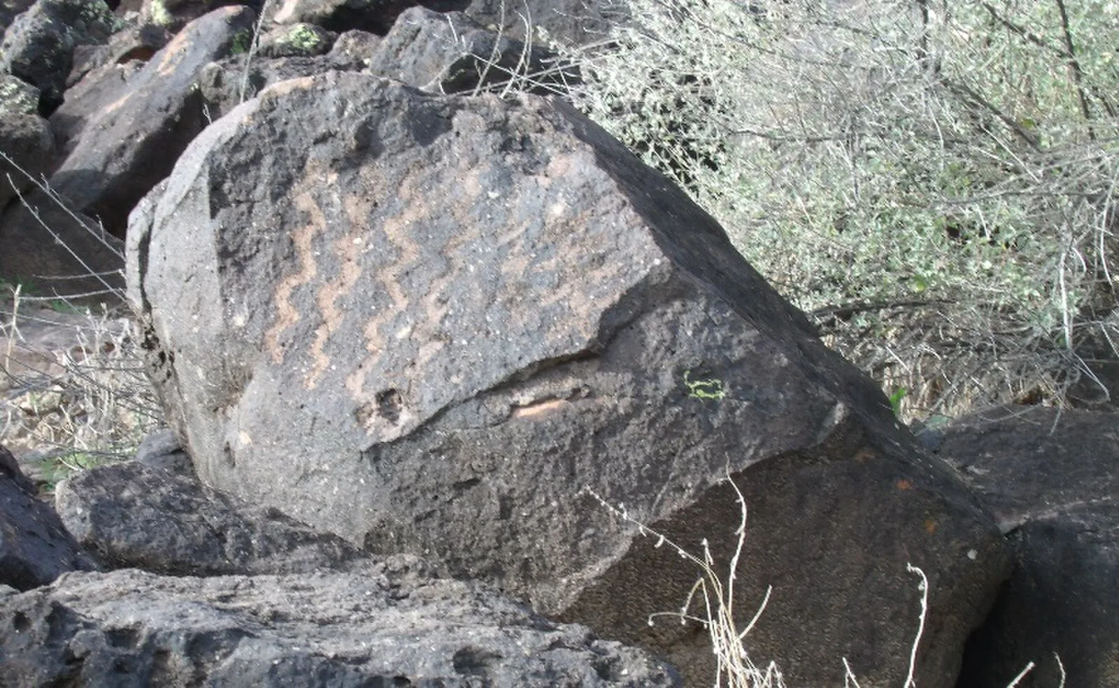 Deer Valley Petroglyph Preserve