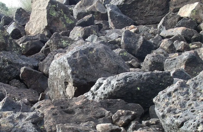 Deer Valley Petroglyph Preserve