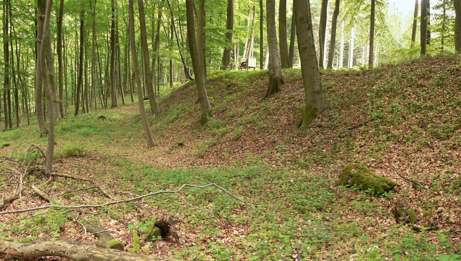 Amelungsburg, Süntel