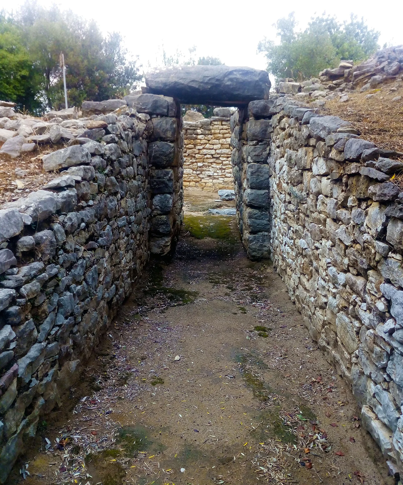Nichoria