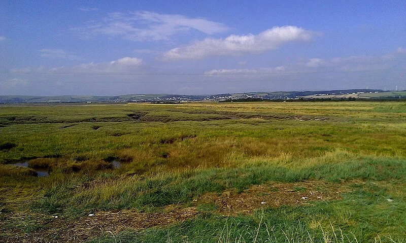 Yelland Stone Rows