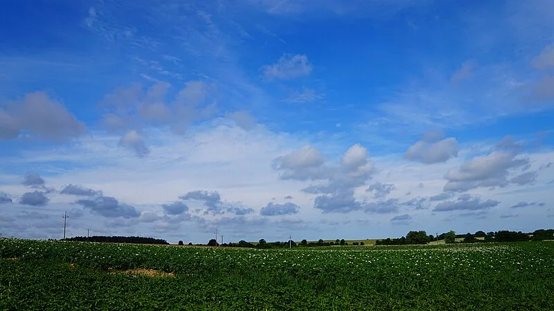 Żukczyn