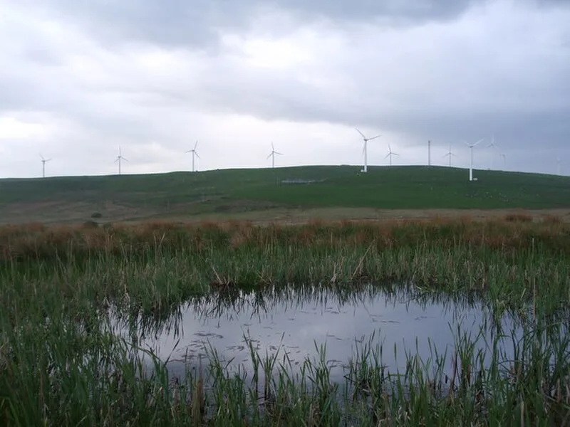 Mynydd Maendy