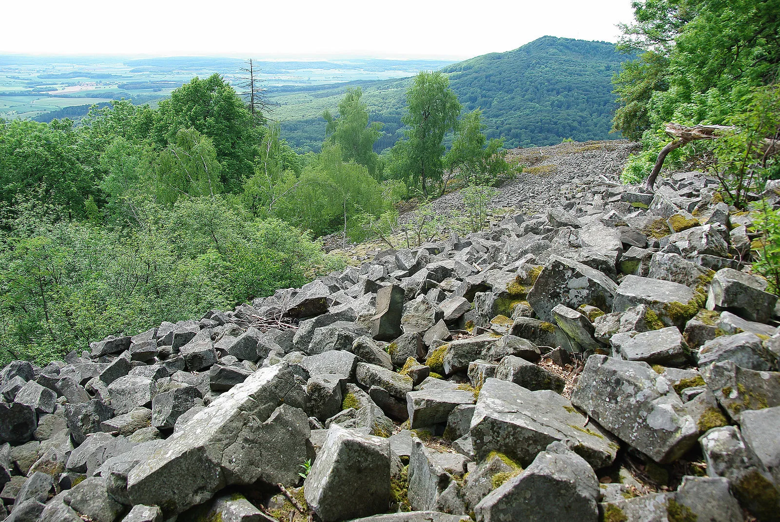 Oppidum Steinsburg