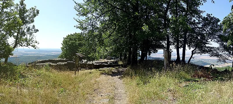 Oppidum Steinsburg