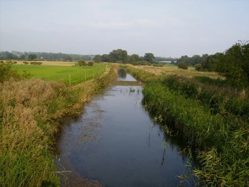 Costa Beck