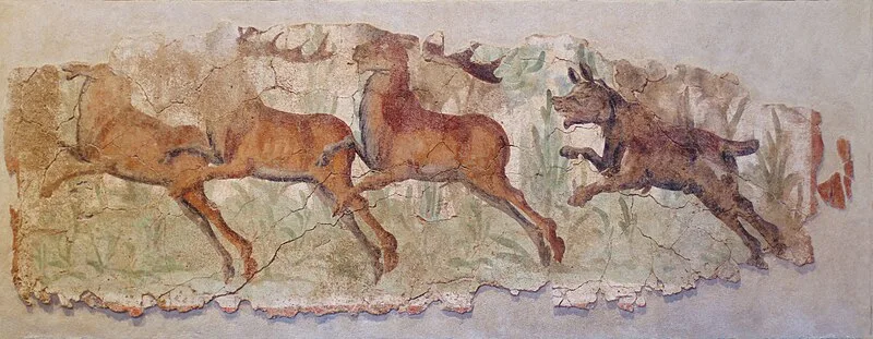 Provincial Forum of Tarraco