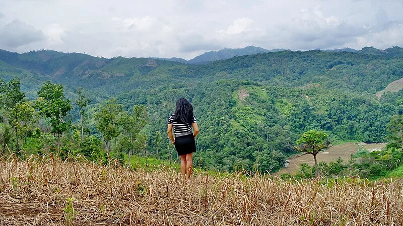 Pagar Alam