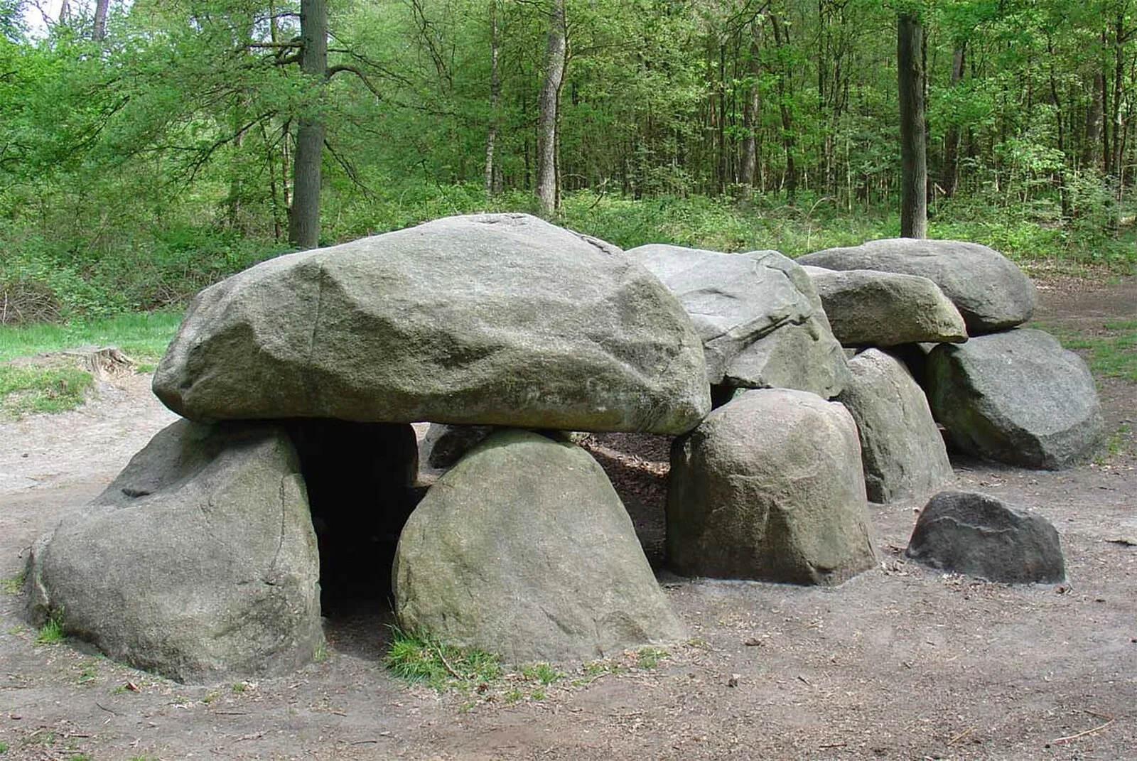 Strubben-Kniphorstbos