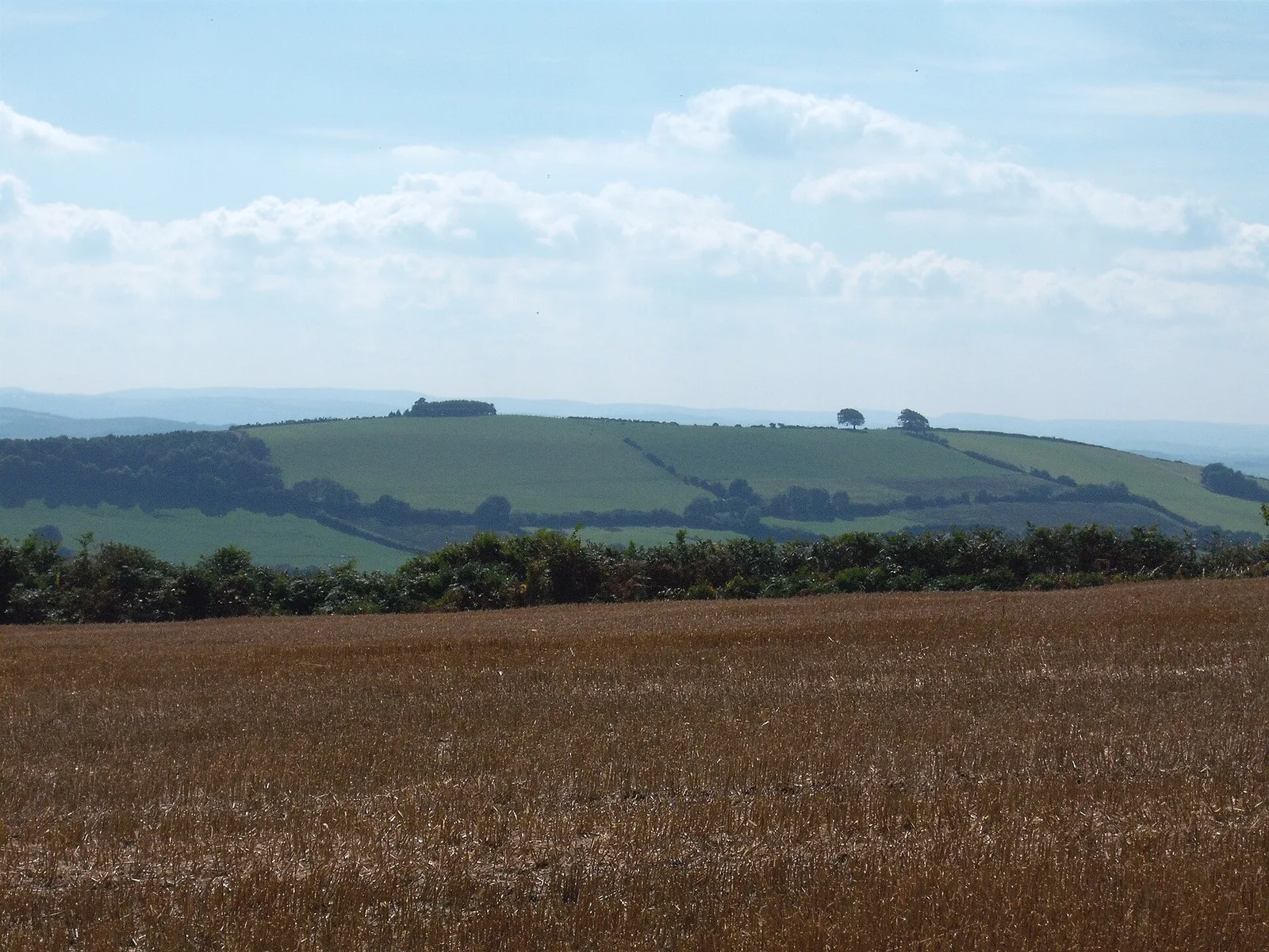 Raddon Top